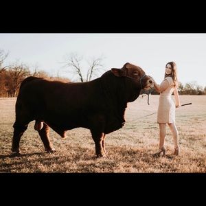 Prom or Homecoming dress